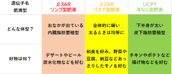 肥満型体型からやせ型体型へ 理想のやせ型体型へ